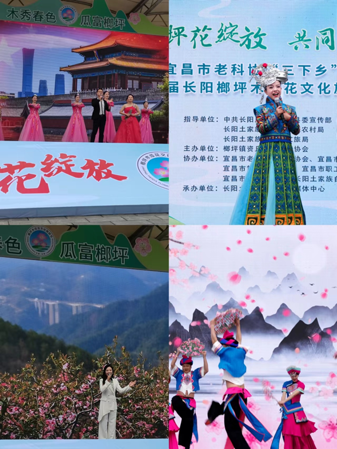 图片5.png 图片5.png