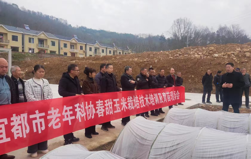 截图20250312195604.png