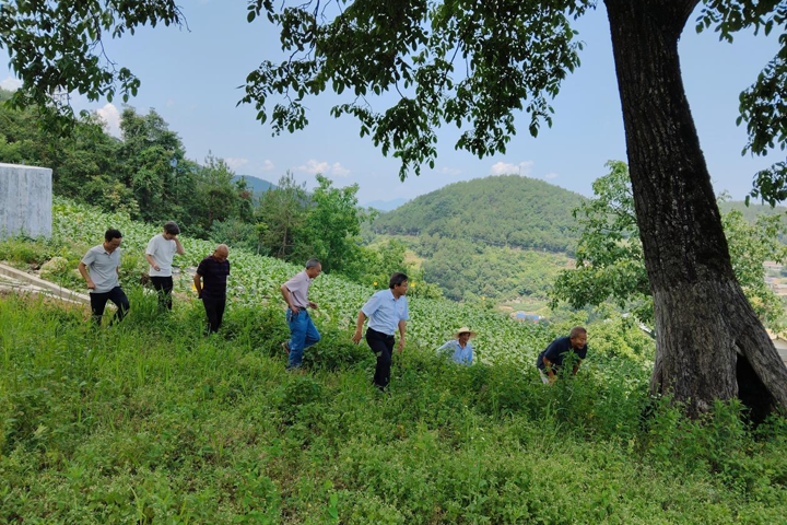 IMG_c56d9fc5706e40cfae66f49f98a411a8.png IMG_c56d9fc5706e40cfae66f49f98a411a8.png