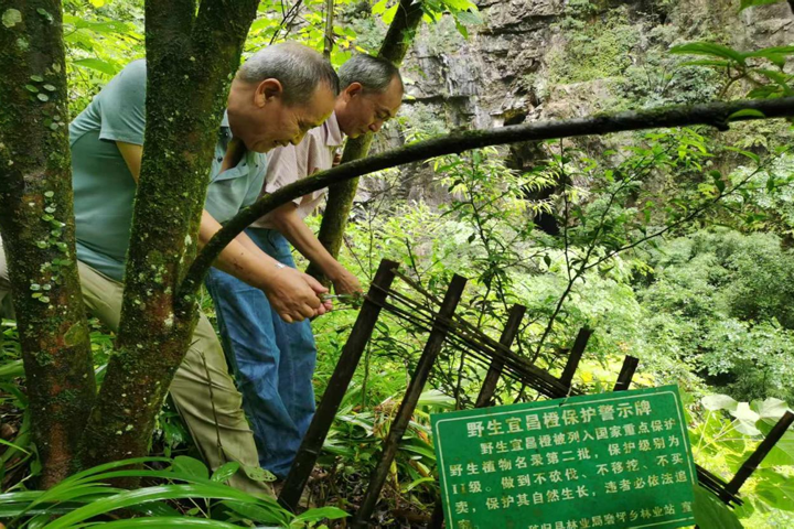 IMG_c439026f99644901a0e7356b96e25253.png IMG_c439026f99644901a0e7356b96e25253.png